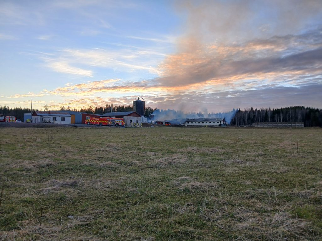 Brand i ladugård i Stavnäs.