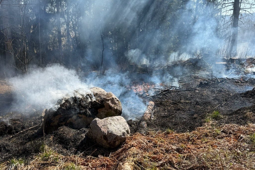 Gräsbrand i Brunskog. Foto: Magnus Högberg.