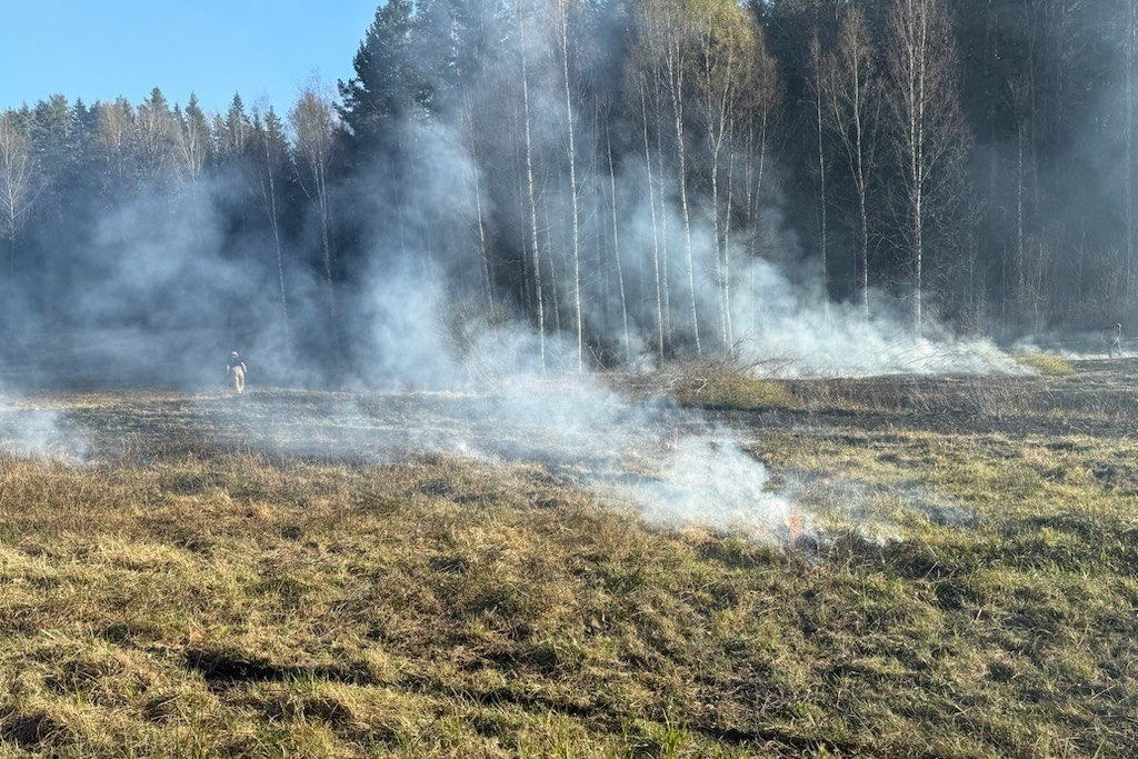 Gräsbrand i Dalen. Foto: Magnus Högberg.