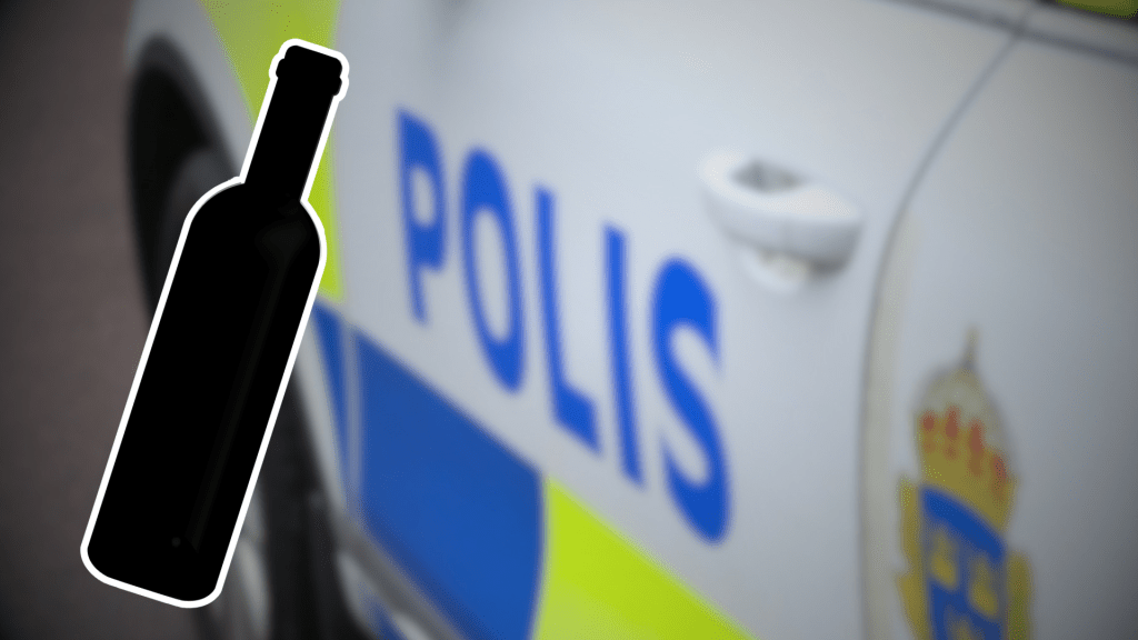 Montage. En kvinna döms till sex månaders fängelse för misshandel. Foto: Sakeus Berg.