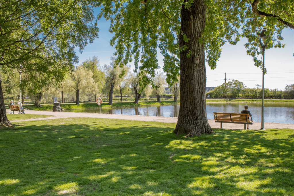 Arvika stadspark. Foto: Arvika kommuns bildarkiv.
